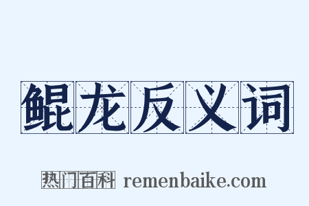 鲲龙反义词是什么意思的图片